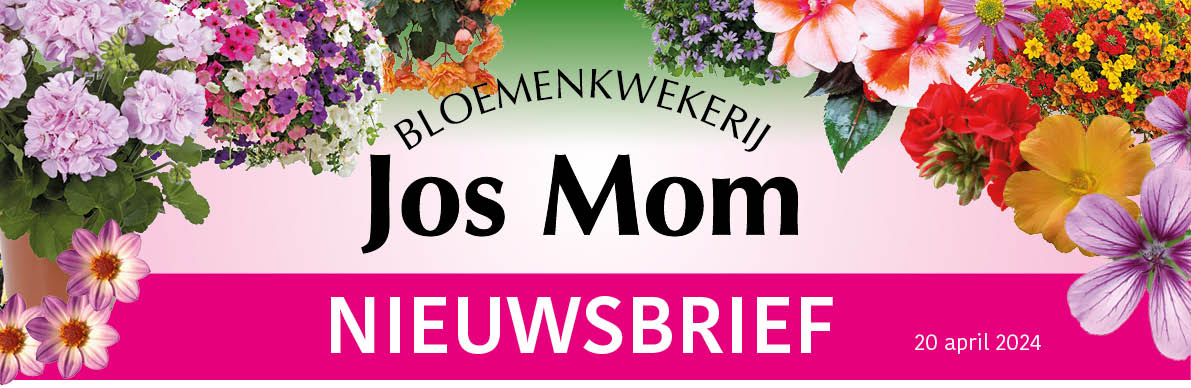 laatste nieuwsbtrief