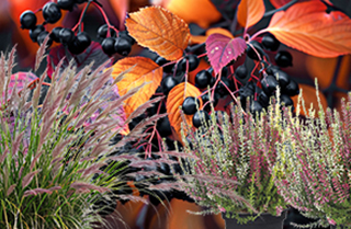 herfstassortiment