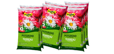 Potgrond