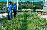 Vaste planten 04